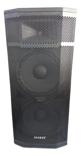 Cabina doble de sonido profesional Sankey 2x15" - Imagen 2