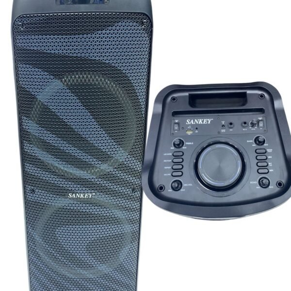 Parlante Sankey 2x12" PA12DC3099 RGB